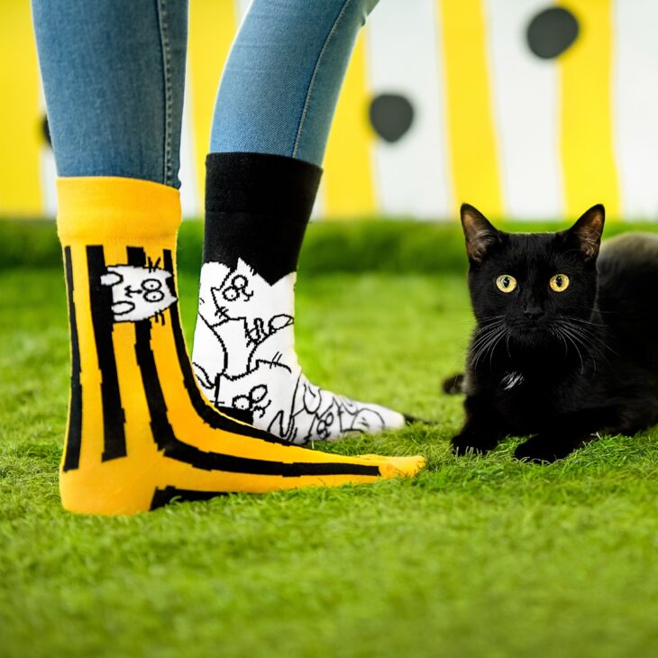 Skarpetka w paski żółto czarne pionowe, na trawie obok czarny kot