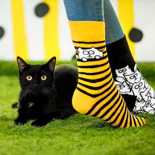Skarpetka w paski żółto czarne, na trawie obok czarny kot