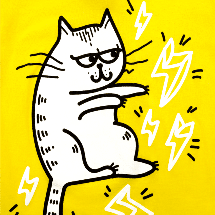 Kot piorunki, nadruk na koszulkę dziecięcą