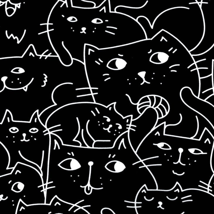 Czarna koszulka w koty wzór
