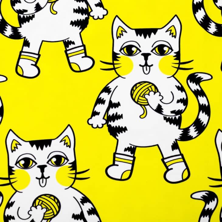 kotki w skarpetkach żółta bluzka dziecięca wzór